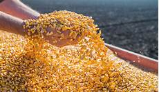 Corn Flour Milling Machine