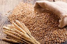Flour Exports