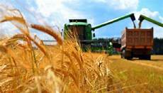 Flour Exports