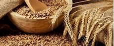Flour For Durum