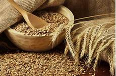 Flour For Wheat