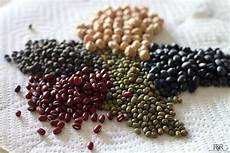 Pulse Flour