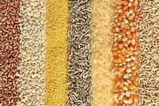 Wheat Flour For Pitta