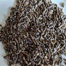 Wheat Flour For Pizza