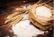 Wheat Flour For Shrimp Feed