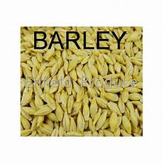 Wheat Flour For Shrimp Feed