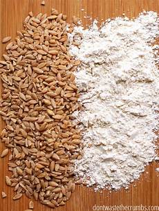 Wheat Germ Flours