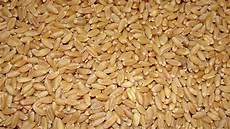 Wheat Germ Flours