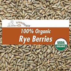 Whole Rye Flour