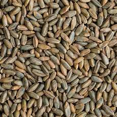 Whole Rye Flour